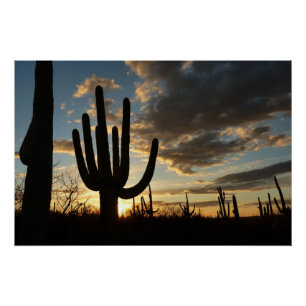 Saguaro Sunset II Arizona Desert Landscape Poster