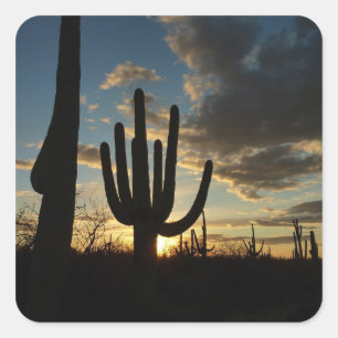 Saguaro Sunset II Arizona Desert Landscape Square Sticker