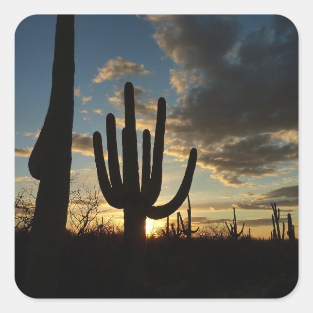 Saguaro Sunset II Arizona Desert Landscape Square Sticker (Front)