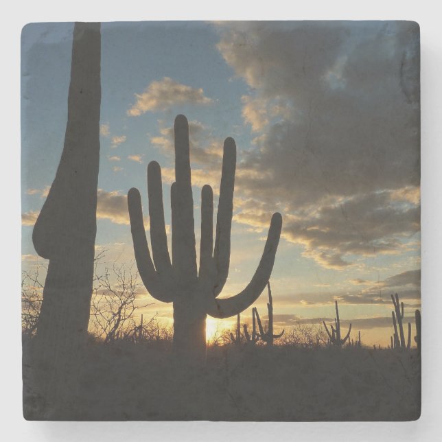 Saguaro Sunset II Arizona Desert Landscape Stone Coaster (Front)