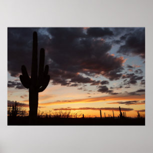 Saguaro Sunset III Arizona Desert Landscape Poster