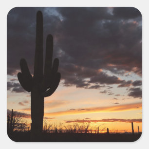 Saguaro Sunset III Arizona Desert Landscape Square Sticker