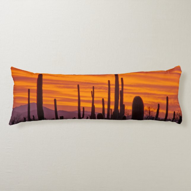 Saguaro, sunset, Saguaro National Park Body Cushion (Front)
