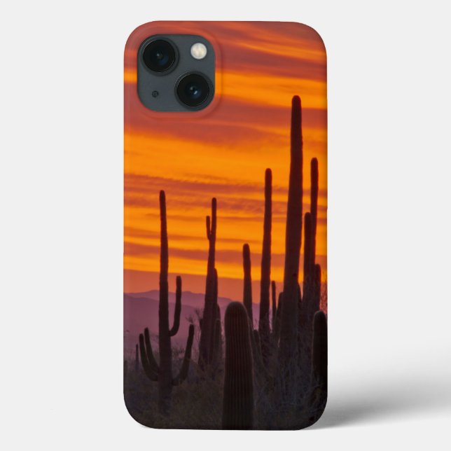 Saguaro, sunset, Saguaro National Park Case-Mate iPhone Case (Back)