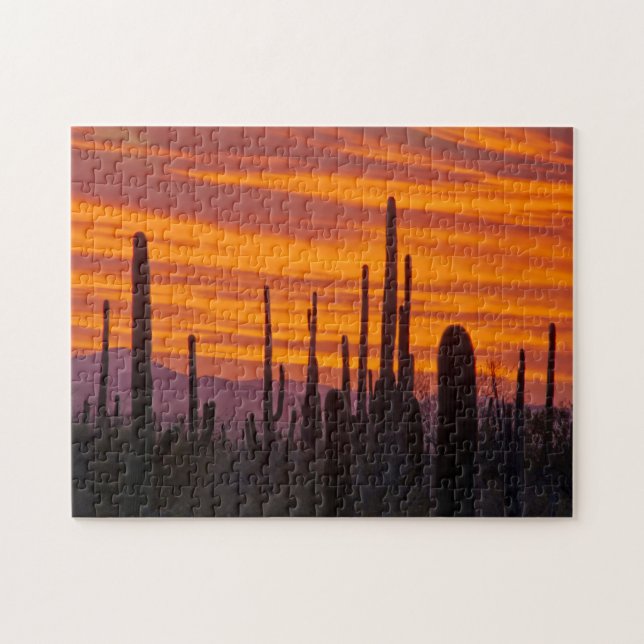 Saguaro, sunset, Saguaro National Park Jigsaw Puzzle (Horizontal)