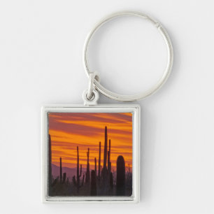 Saguaro, sunset, Saguaro National Park Key Ring
