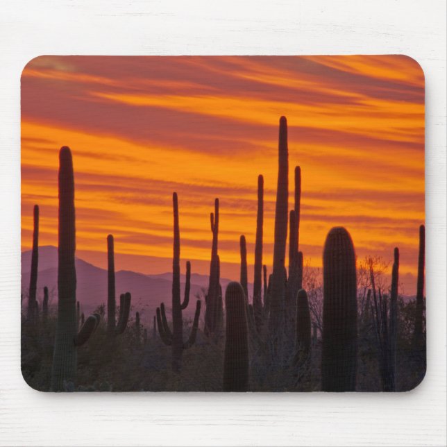 Saguaro, sunset, Saguaro National Park Mouse Mat (Front)
