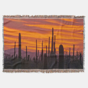 Saguaro, sunset, Saguaro National Park Throw Blanket
