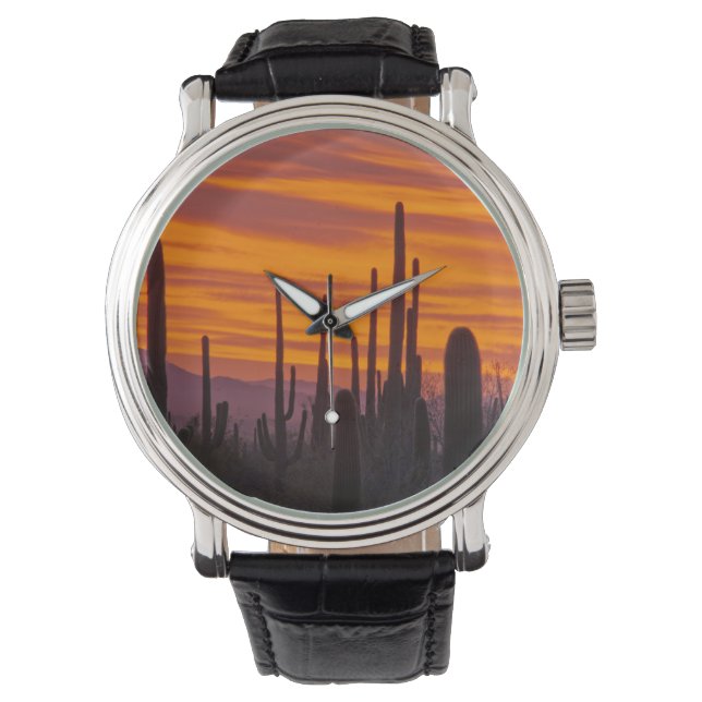 Saguaro, sunset, Saguaro National Park Watch (Front)