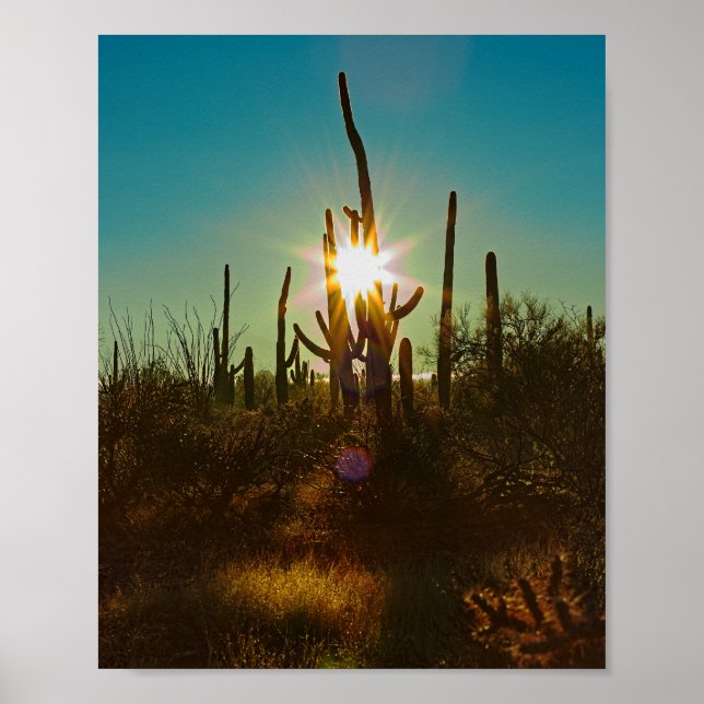 Saguaro Sunstar Poster (Front)