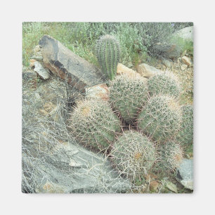 Saguaro Swirl Cactus Refrigerator Gift Magnet