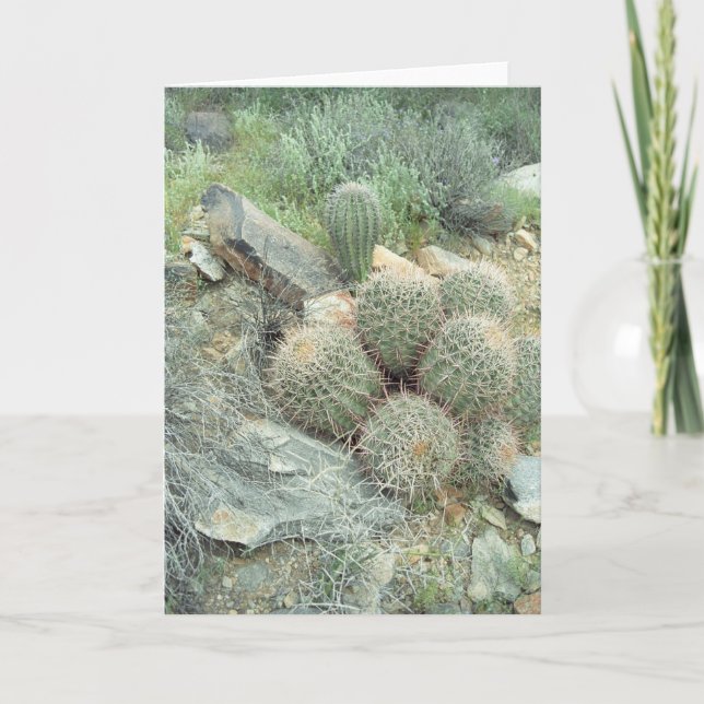 Saguaro Swirl Greeting Card (Front)