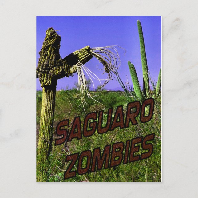 Saguaro Zombies Zombie 2 Postcard (Front)