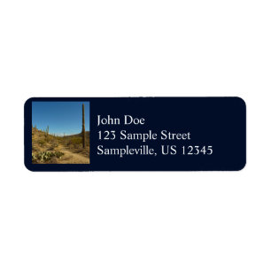 Saguaro's Carillo Trail in Saguaro National Park