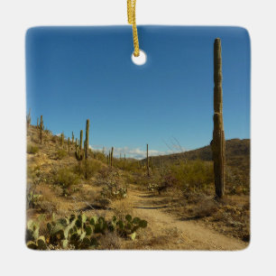 Saguaro's Carillo Trail in Saguaro National Park Ceramic Tree Decoration