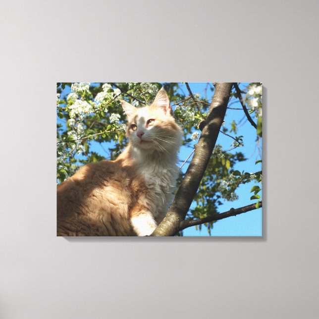 Sahara Cat In A Cherry Tree Wrapped Canvas (Front)