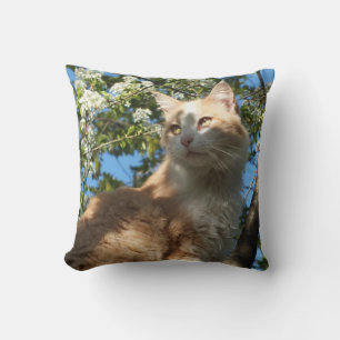 Sahara Cat In A Tree II -Throw Pillow