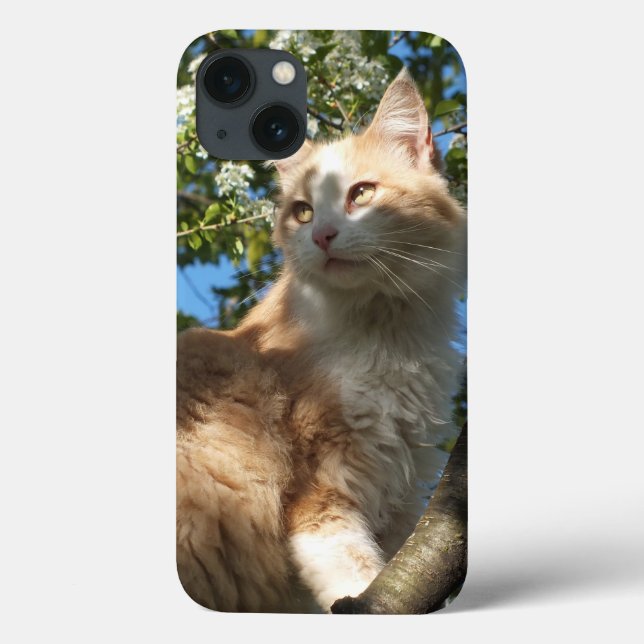 Sahara Cat In A Tree iPad Case (Back)
