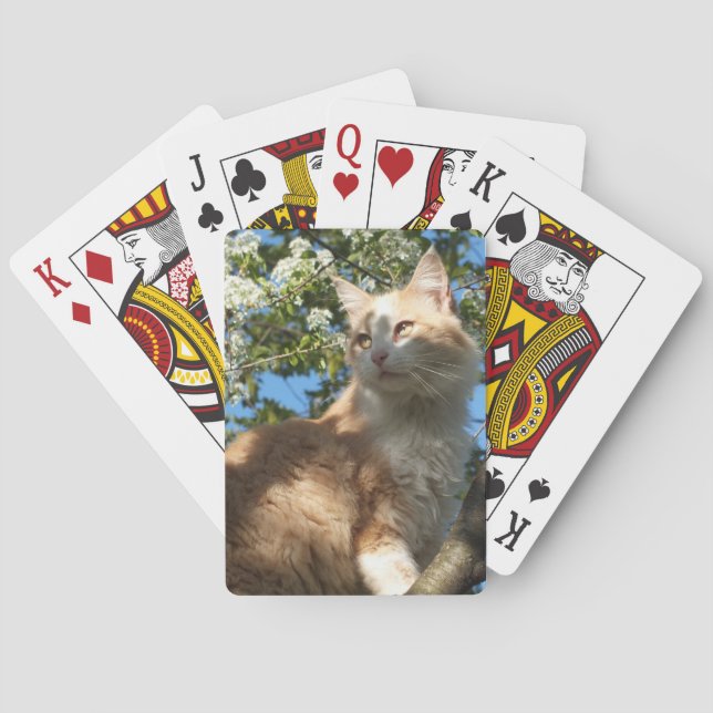 Sahara Cat in a Tree Playing Cards (Back)