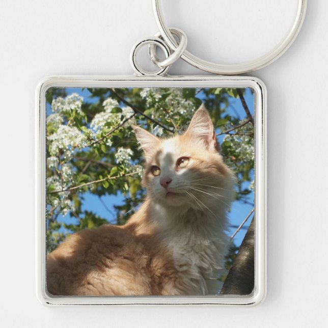 Sahara In A Tree Key Chain (Front)