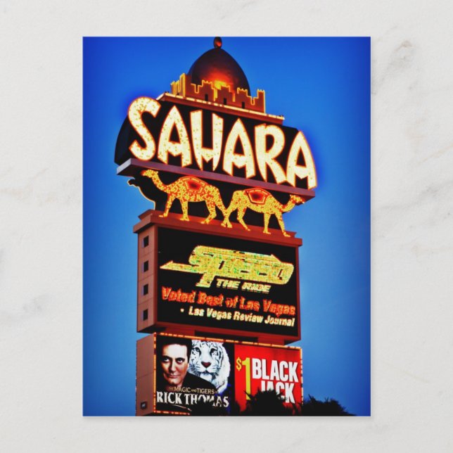 Sahara Sign Postcard (Front)