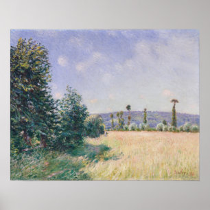Sahurs Meadows in Morning Sun Poster