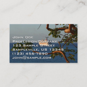 Sail Away at Sunset I Cruise Vacation Business Card