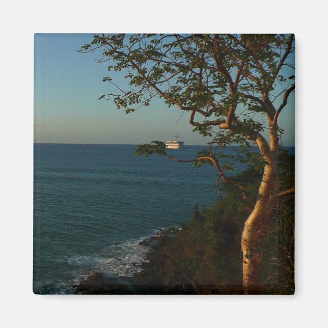 Sail Away at Sunset II Tropical Seascape Magnet (Front)