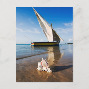 Sail Boat And Shell   Mozambique, Benguerra Lodge Postcard