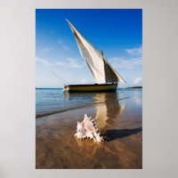 Sail Boat And Shell | Mozambique, Benguerra Lodge