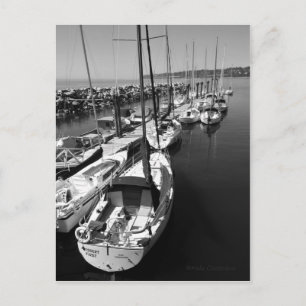 Sail Boats Black and White Postcard