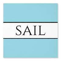 SAIL Refined Robin Egg Blue Black White Stripes
