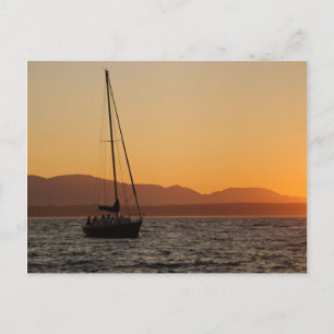 Sailboat At Sunset On The Puget Sound Postcard