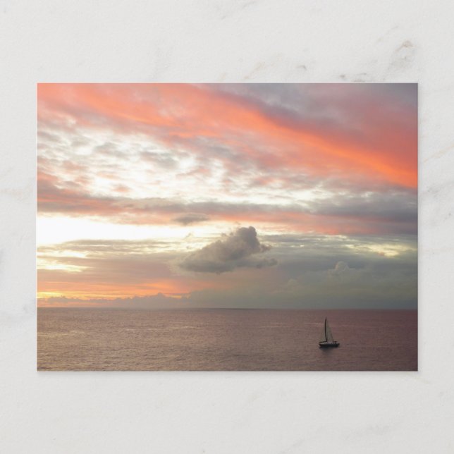 Sailboat in Sunset Beautiful Pink Seascape Postcard (Front)