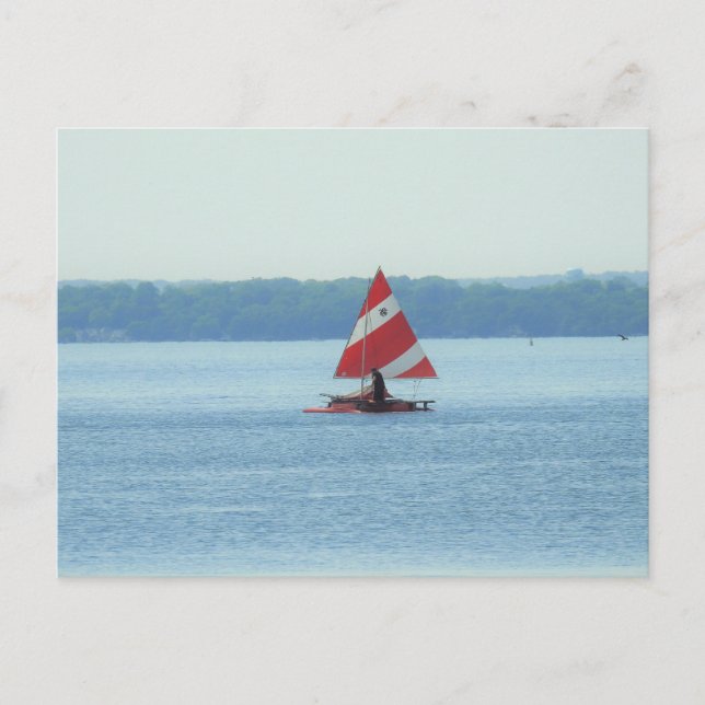 Sailboat on Lake Mendota in Madison, Wisconsin Postcard (Front)