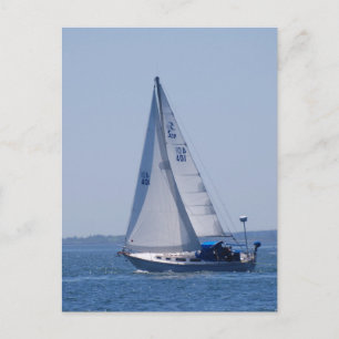 Sailboat Postcard