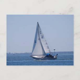 Sailboat Postcard
