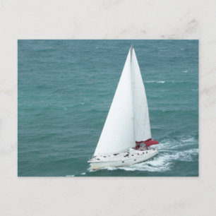 Sailboat Postcard