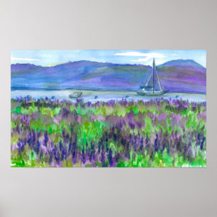Sailboat Purple Lupines Watercolor Painting Poster