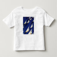 Sailboat Regatta by Ski Weld