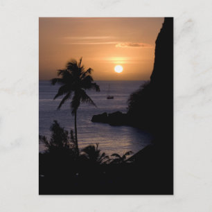 Sailboat Sunset Postcard
