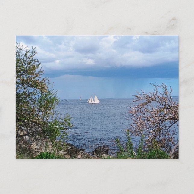 Sailboating and Lighthouse Summer Fun Postcard (Front)