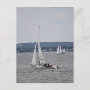 Sailboating Postcard