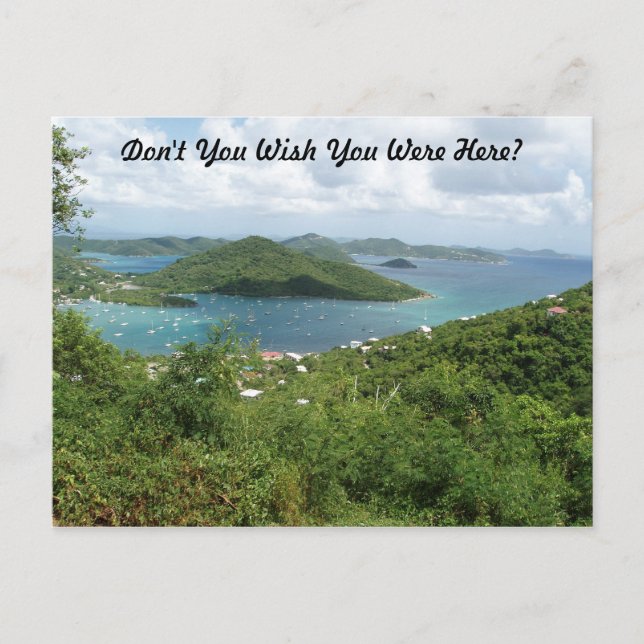 Sailboats At St.John Postcard (Front)