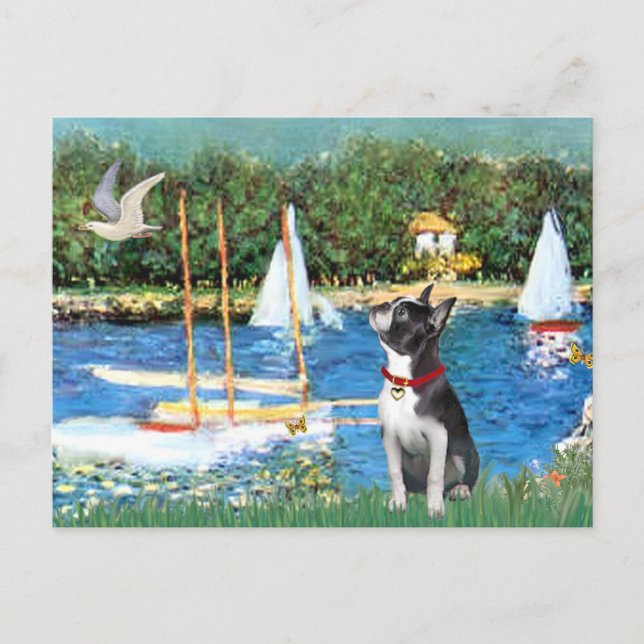 Sailboats - Boston Terrier #@ Postcard (Front)