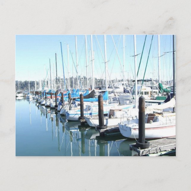 Sailboats in Harbour Postcard (Front)