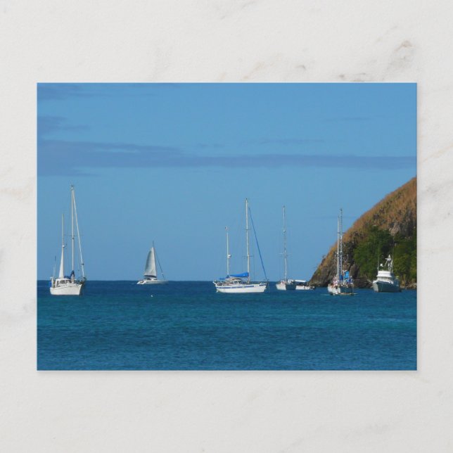 Sailboats in the Bay White and Blue Nautical Postcard (Front)