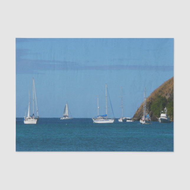 Sailboats in the Bay White and Blue Nautical Tissue Paper (Front)