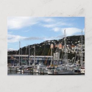 Sailboats in Wellington Postcard