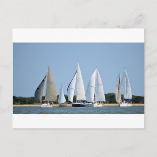 Sailboats on 4th of July Postcard
